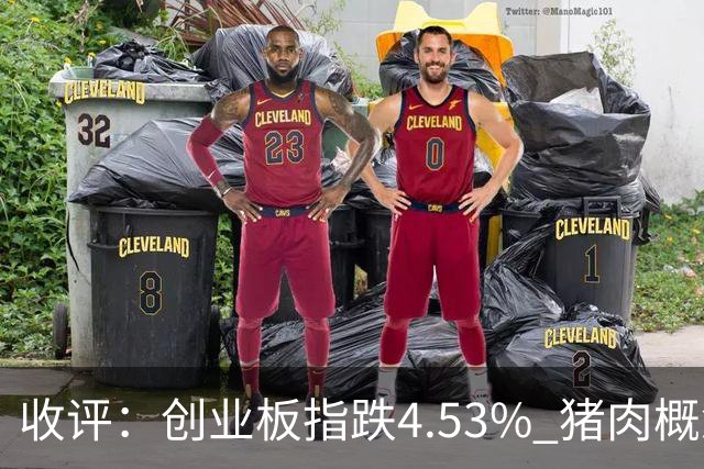 收评：创业板指跌4.53% 猪肉概念等逆市上涨