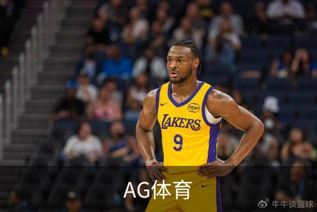AG体育公司简介展示图